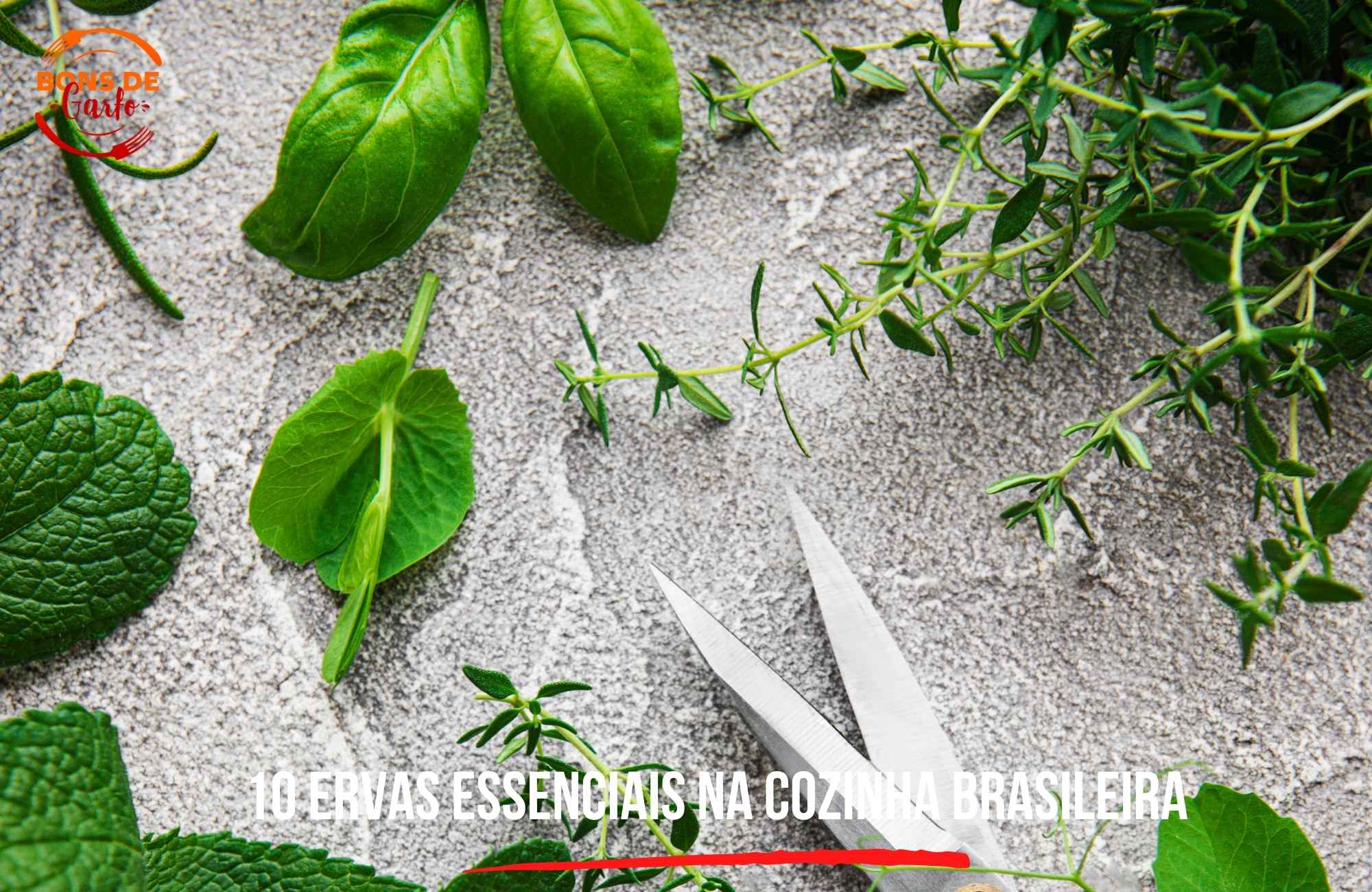 10 ervas essenciais na cozinha brasileira